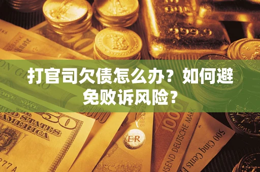 北京打官司欠债怎么办？如何避免败诉风险？