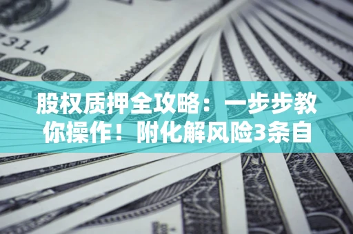 北京股权质押全攻略：一步步教你操作！附化解风险3条自救法则