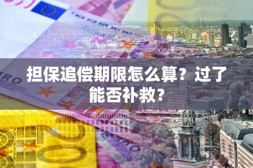 北京担保追偿期限怎么算？过了能否补救？
